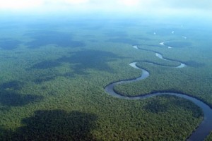 5 FACTS ABOUT THE CONGO RAINFOREST visual data 3