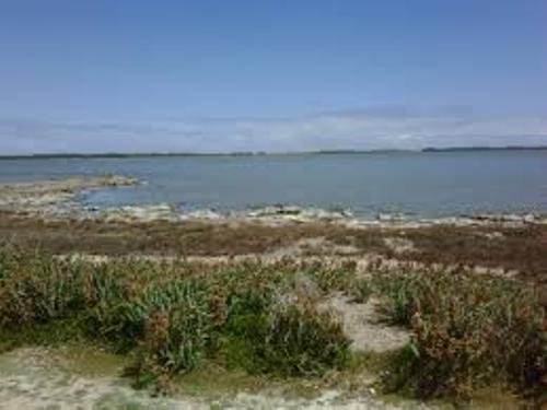 The Coorong Pic