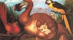 10 Interesting Dodo Bird Facts