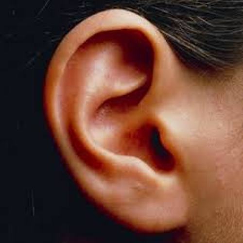 Facts about The Ear