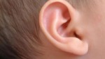 10 Interesting the Ear Facts