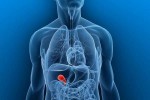 10 Interesting the Gallbladder Facts