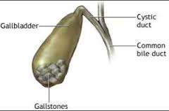 Gallbladder Images