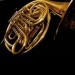 10 Interesting the French horn Facts