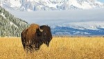 10 Interesting the Great Plains Facts