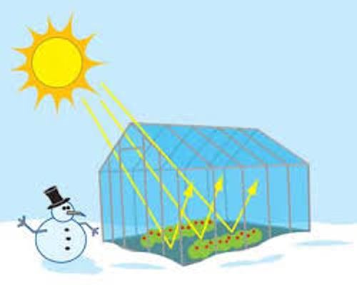 The Greenhouse Effect Pictures