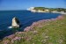 10 Interesting the Isle of Wight Facts