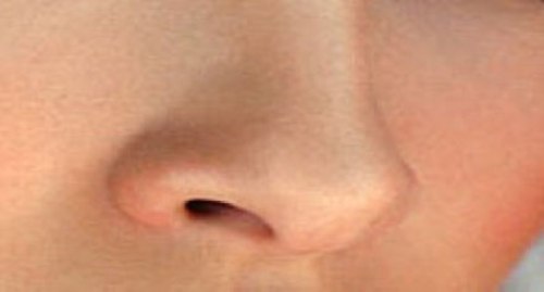 nose images