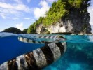 10 Interesting Palau Facts