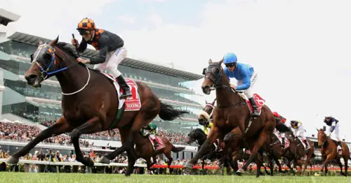 The Melbourne Cup Pictures