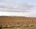 10 Interesting the Mojave Desert Facts