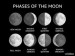 10 Interesting the Moon Phases Facts