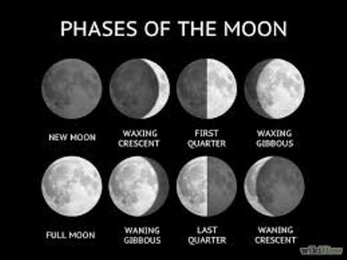 10 Interesting The Moon Phases Facts My Interesting Facts