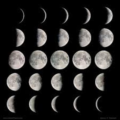 The Moon Phases Image