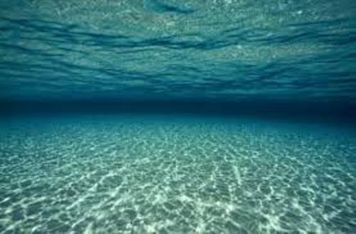 the ocean floor photo