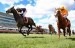10 Interesting the Melbourne Cup Facts