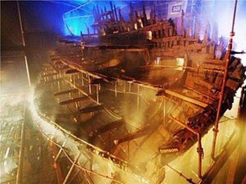 the mary rose images