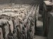 10 Interesting the Terracotta Army Facts