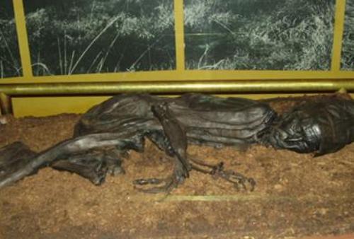 the tollund man facts