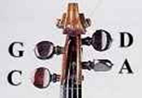 the viola peg strings