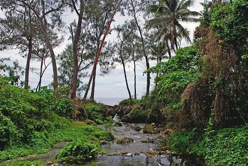 Vanuatu Image