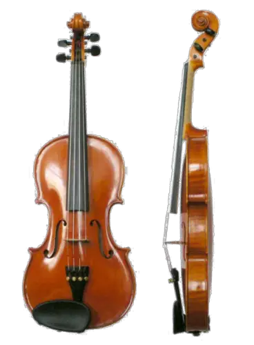 Facts about Violin