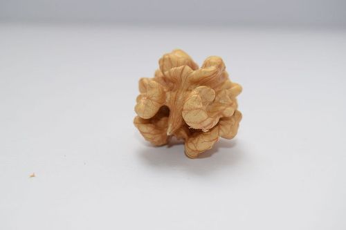 Facts about Walnut