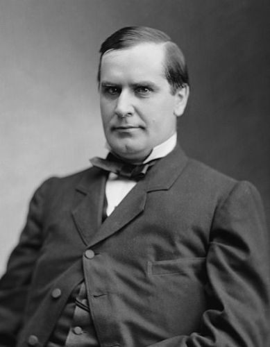 William McKinley Facts