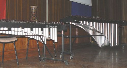 facts about Xylophone