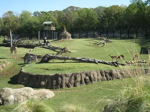 facts about zoo